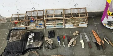 Golpe a la caza furtiva en Albardón: secuestraron carne de guanaco, aves en jaulas, un chaleco policial y detuvieron a un hombre
