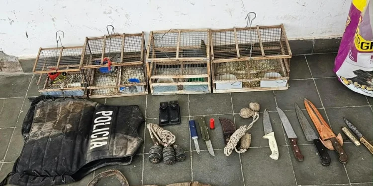 Golpe a la caza furtiva en Albardón: secuestraron carne de guanaco, aves en jaulas, un chaleco policial y detuvieron a un hombre