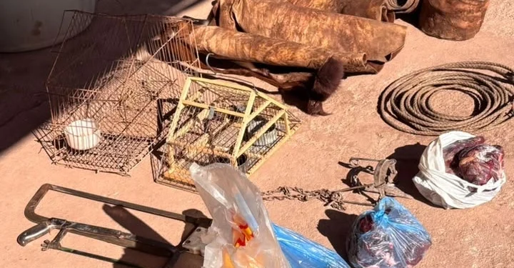 Megaoperativo de la Policía Rural en Bermejo: cinco allanamientos, cuatro detenidos y secuestro de armas, carne de jabalí y fauna protegida