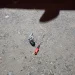 Detuvieron en Capital a un joven de 18 años con un revólver y lo investigan por el intento de robo de una moto
