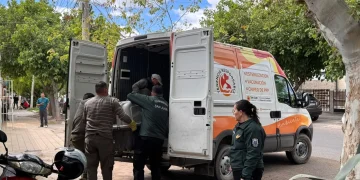 Final feliz en Capital: rescataron a cuatro perros que sobrevivieron casi tres meses abandonados en una casa de calle Caseros