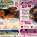 Final feliz con final abierto: buscan adopción urgente para los perritos que sobrevivieron tres meses abandonados en Capital