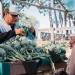Fiesta del Espárrago y el Alcaucil en Médano de Oro: este domingo cocinarán el risotto más grande del mundo para 4.000 personas