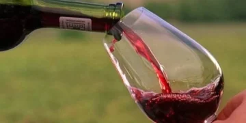 Impulso varietal: las exportaciones de vino sanjuanino crecieron 24,5% en septiembre y alcanzaron casi USD 1 millón en divisas