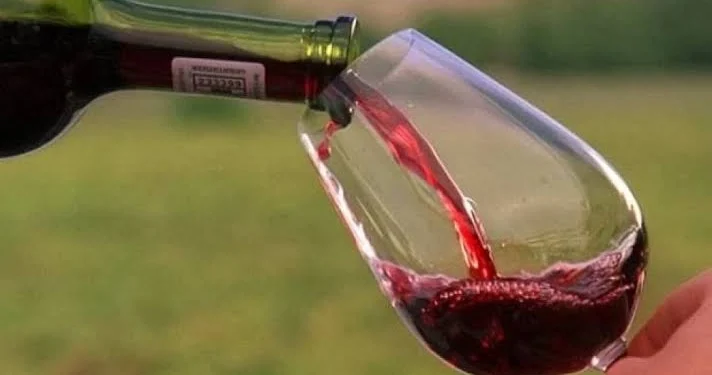 Impulso varietal: las exportaciones de vino sanjuanino crecieron 24,5% en septiembre y alcanzaron casi USD 1 millón en divisas