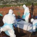 Alarma sanitaria en África: el brote de ébola más letal en la historia del Congo ya causó más de 4.500 muertes y se expandió a una octava provincia