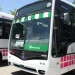 Se normaliza la RedTulum: los colectivos vuelven a las calles de San Juan y las primeras unidades salieron en la zona norte