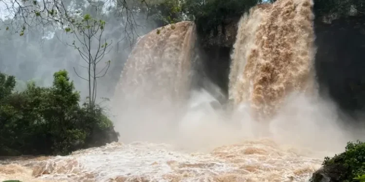 Alerta máxima en el Litoral: advierten que el fenómeno de El Niño se extenderá hasta abril de 2027 y mantendrá en vilo a las provincias del NEA